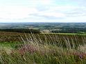 Slievecoiltia- 071